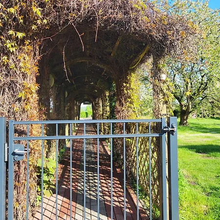 03 Blumenwiese - Hof Wiesengrund Parchtitz