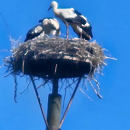 Appartement 03 Blumenwiese - Hof Wiesengrund Parchtitz