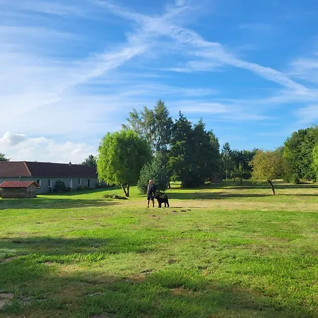 03 Blumenwiese - Hof Wiesengrund Appartement Parchtitz
