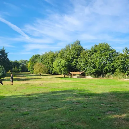 03 Blumenwiese - Hof Wiesengrund Appartement *